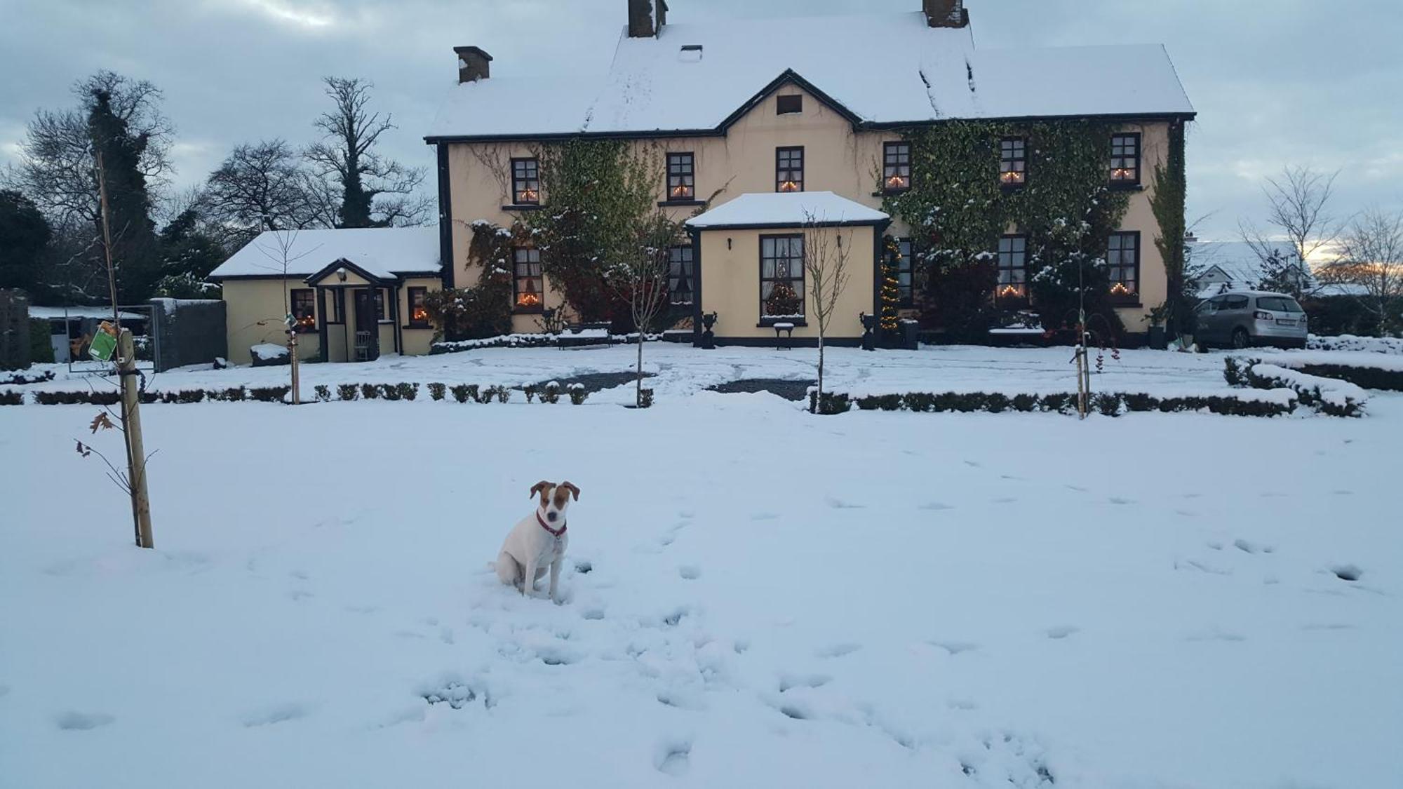 Charlotte'S Way B&B Banagher Экстерьер фото